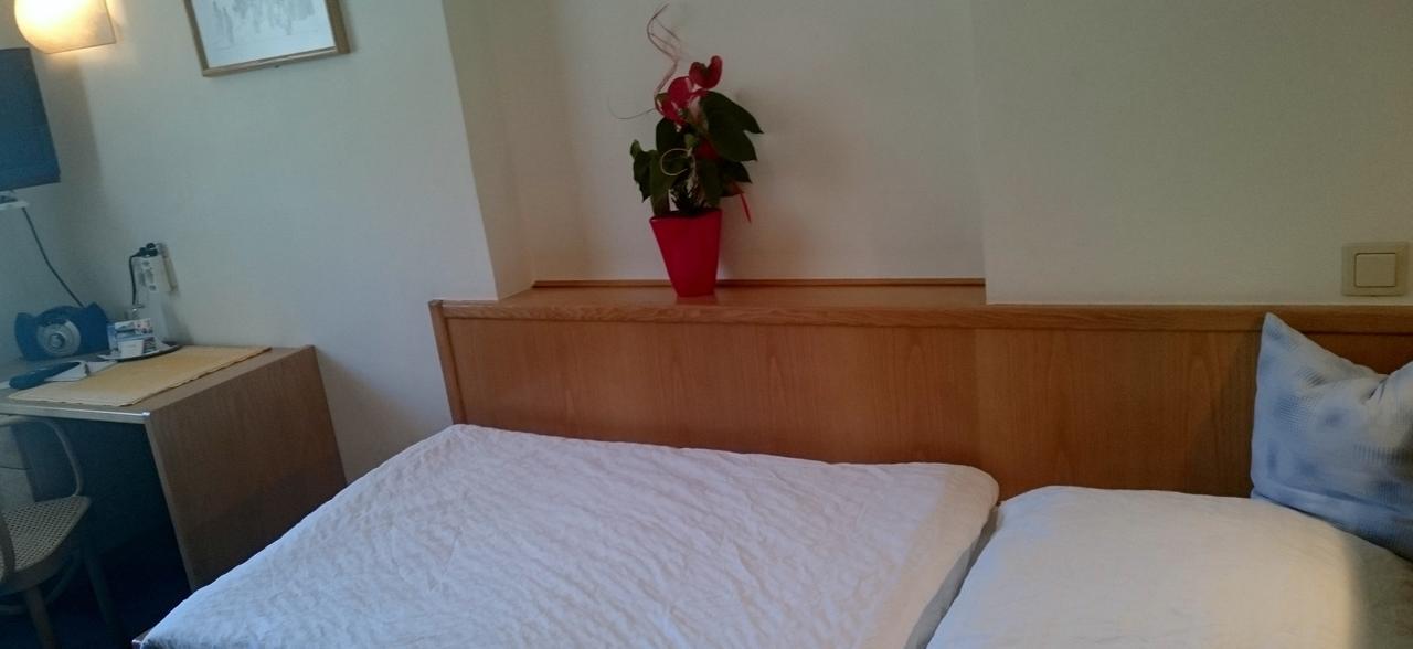 Hotel Zum Goldenen Hirschen Göstling an der Ybbs Екстериор снимка